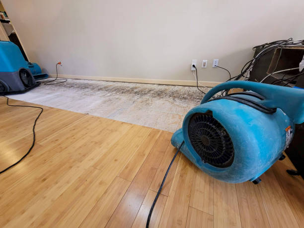 Professional Water Extraction technician working in Germantown, MD